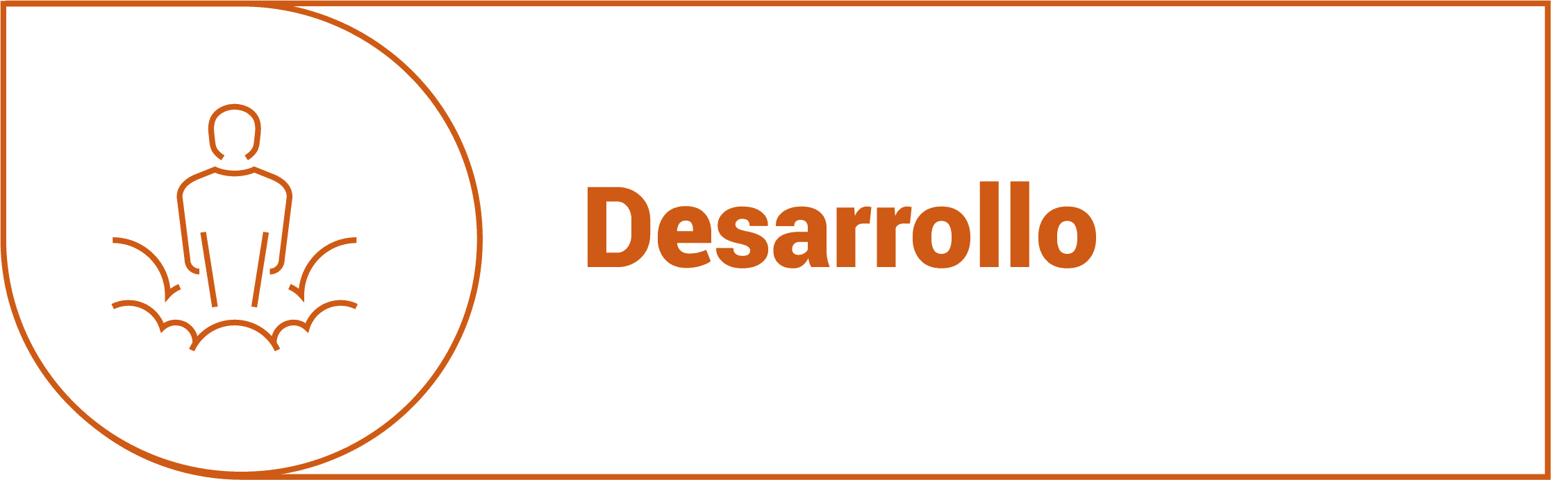 Desarrollo